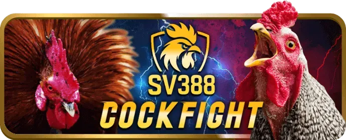 Hướng dẫn cá cược đá gà ggg88 win